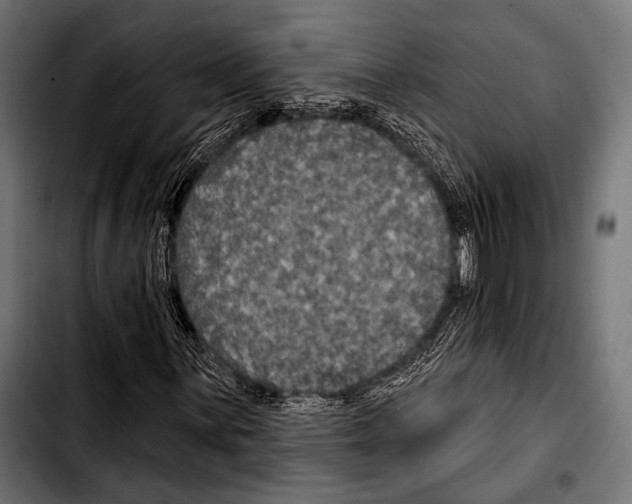 X0000103321059200810171356