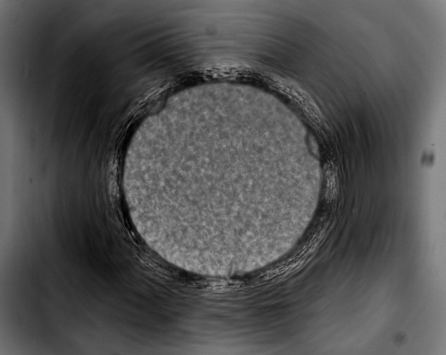 X0000103321060200810171356