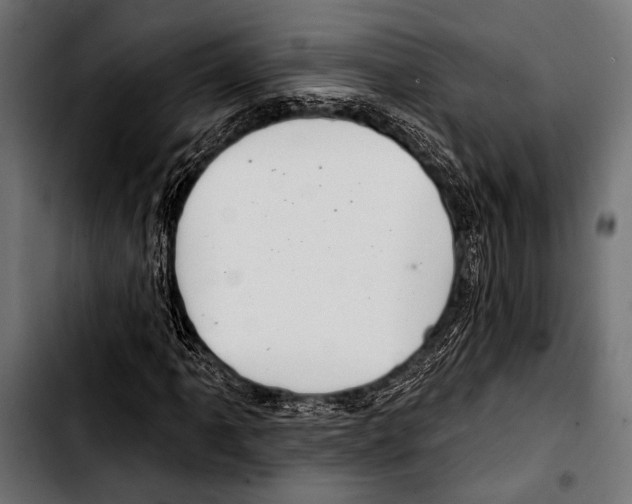 X0000103321061200810171356