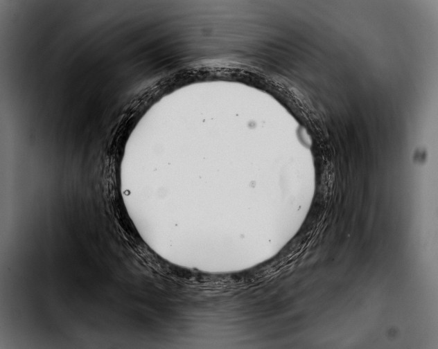 X0000103321062200810171356
