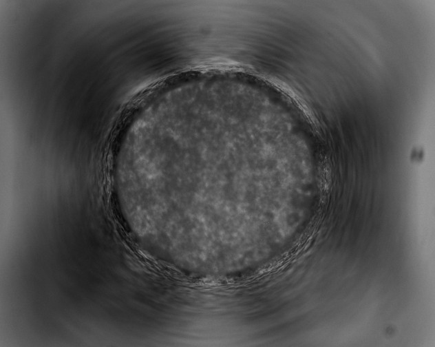 X0000103321063200810171356