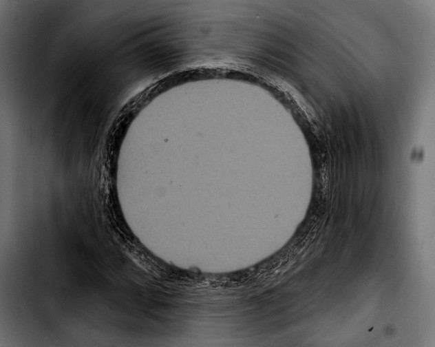 X0000103321064200810171356