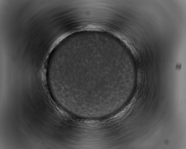X0000103321066200810171356