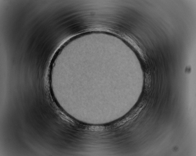 X0000103321068200810171356