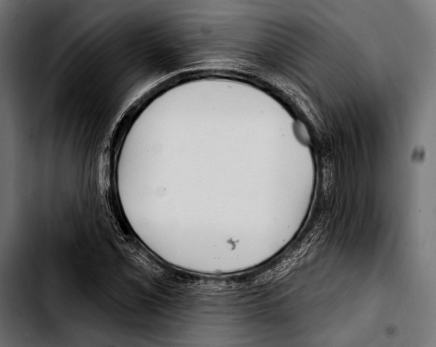 X0000103321069200810171356