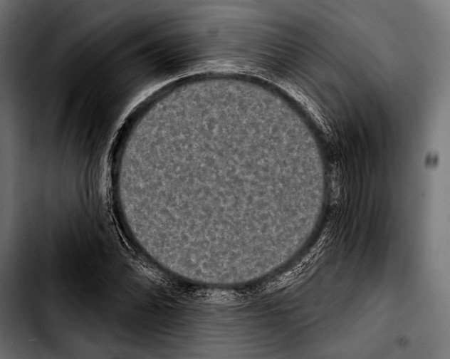 X0000103321070200810171356