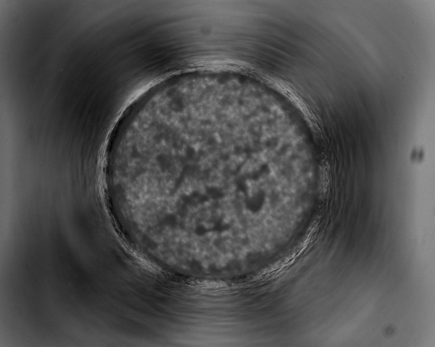 X0000103321071200810171356