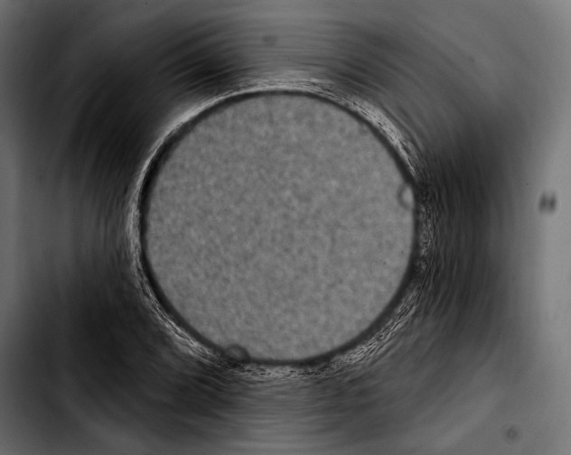 X0000103321072200810171356
