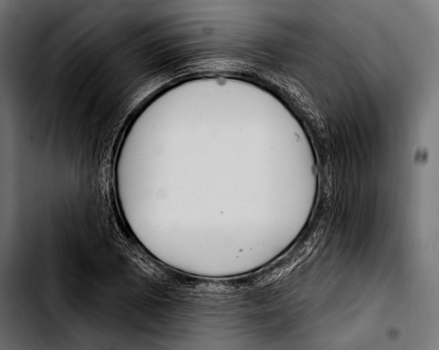 X0000103321073200810171356