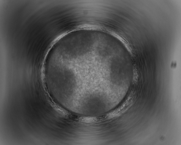 X0000103321074200810171356