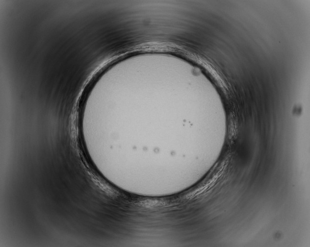 X0000103321075200810171356
