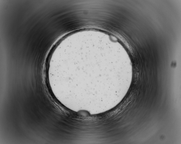 X0000103321076200810171356