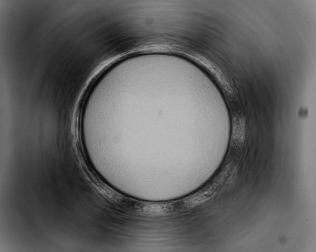 X0000103321078200810171356