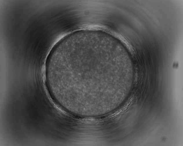 X0000103321079200810171356