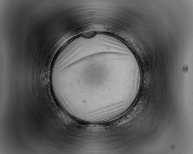 X0000103321081200810171356