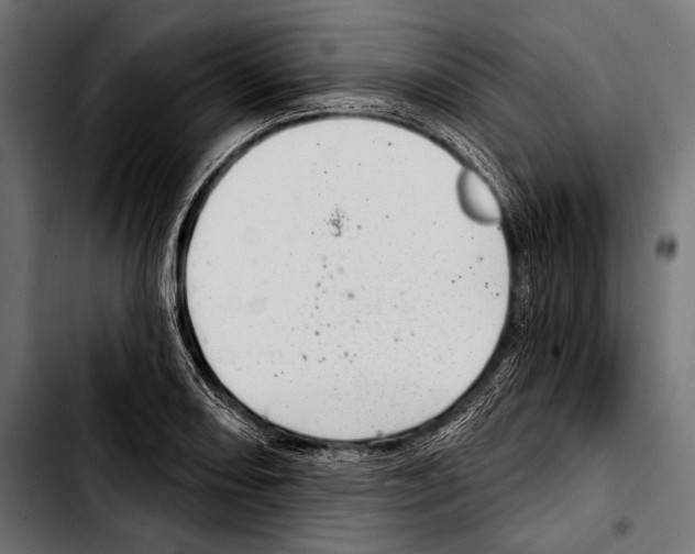 X0000103321082200810171356