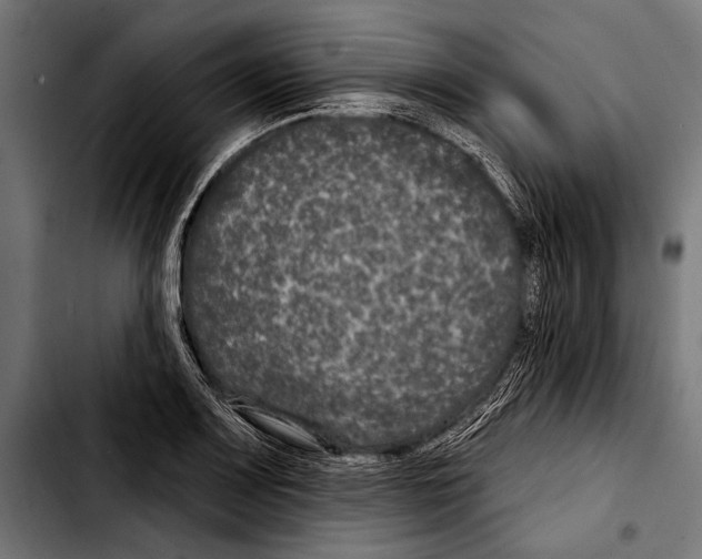 X0000103321083200810171356