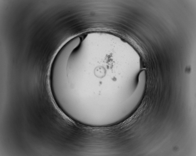 X0000103321084200810171356