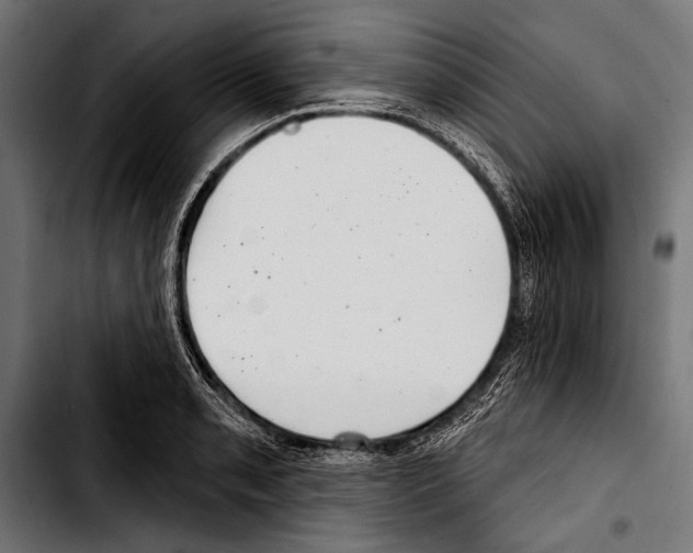 X0000103321085200810171356