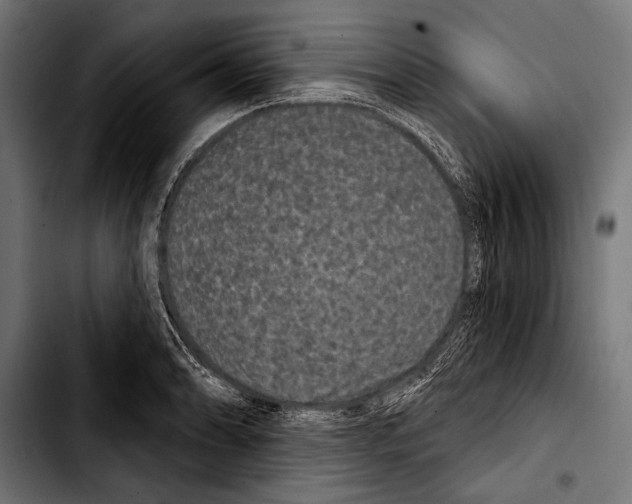 X0000103321086200810171356