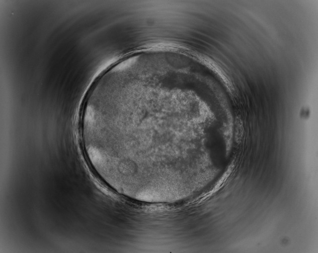 X0000103321087200810171356