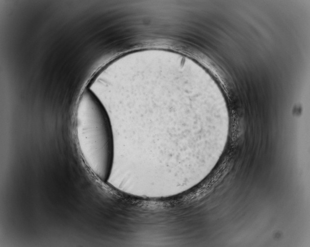 X0000103321088200810171356
