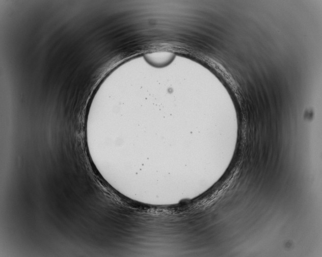 X0000103321089200810171356