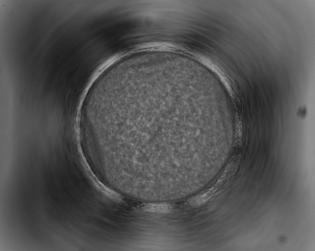 X0000103321090200810171356