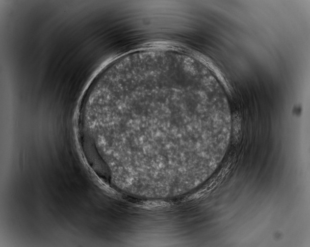 X0000103321091200810171356