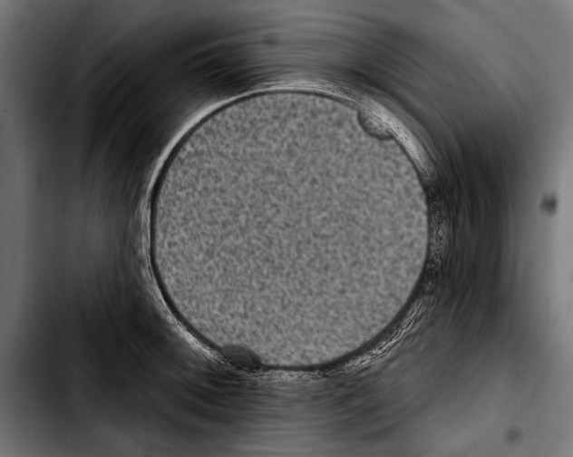X0000103321092200810171356