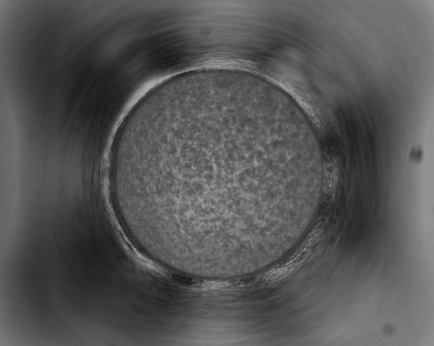 X0000103321094200810171356