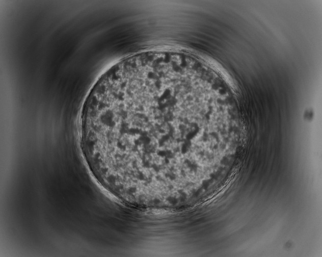 X0000103321095200810171356