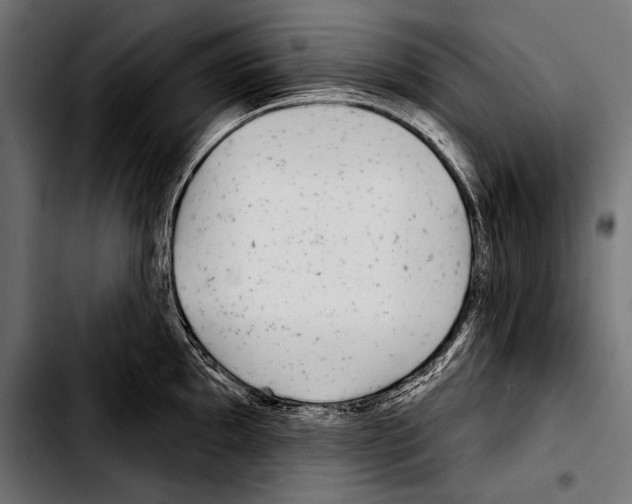 X0000103321097200810171356