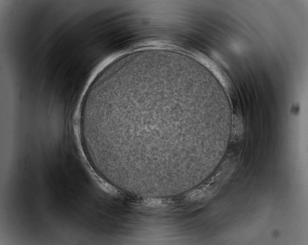 X0000103321098200810171356