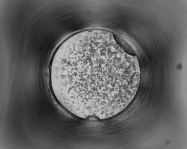 X0000103321100200810171355