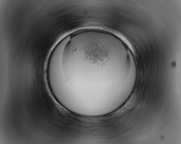 X0000103321101200810171355