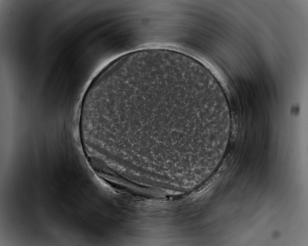 X0000103321102200810171355