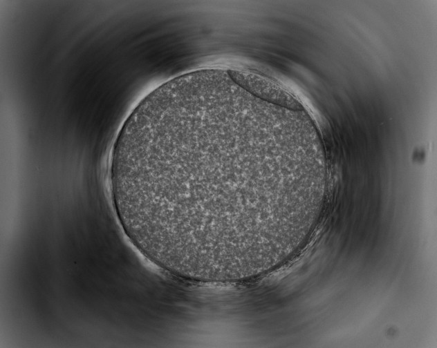 X0000103321103200810171355