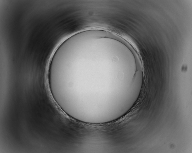 X0000103321104200810171355