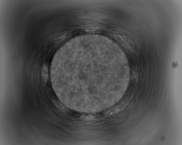 X0000103321106200810171355