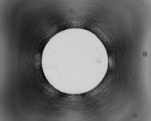 X0000103321107200810171355