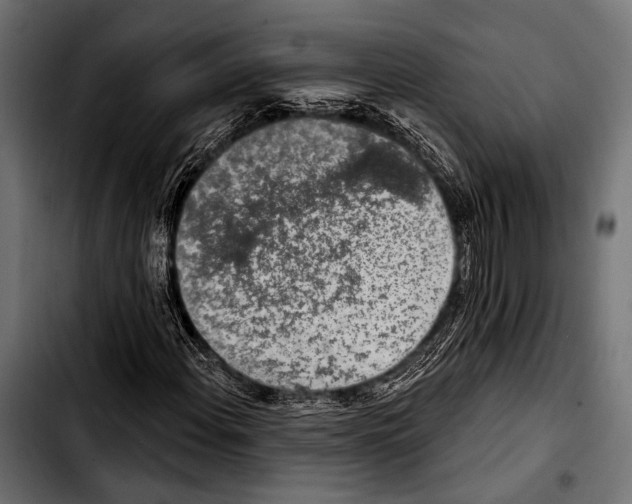 X0000103321108200810171355