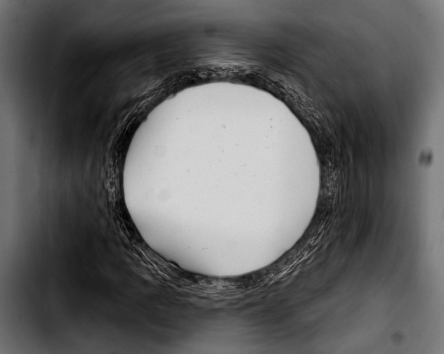 X0000103321109200810171355