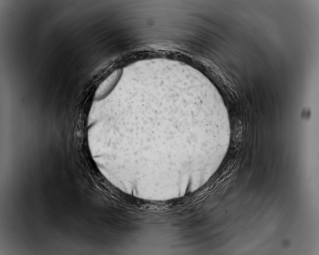 X0000103321110200810171355