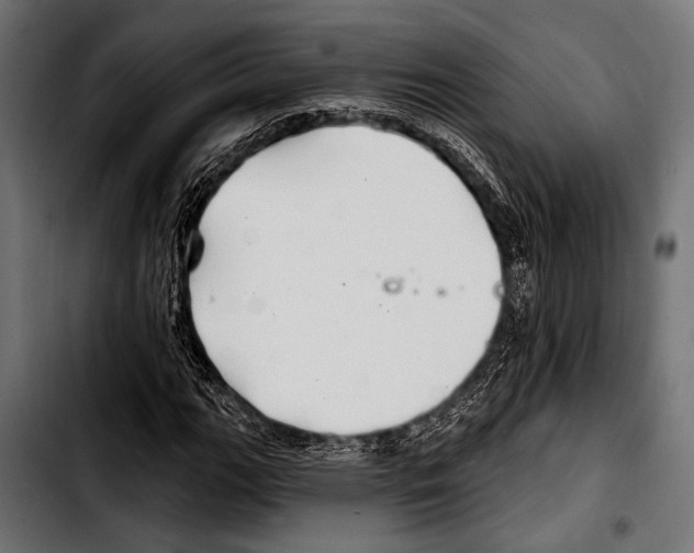 X0000103321111200810171355