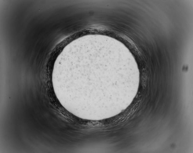 X0000103321112200810171355
