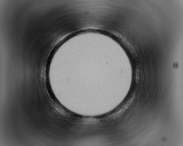 X0000103321113200810171355