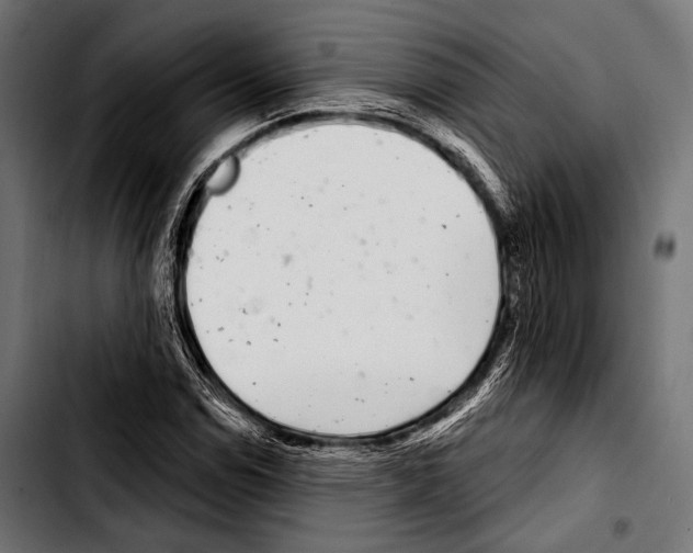 X0000103321114200810171355