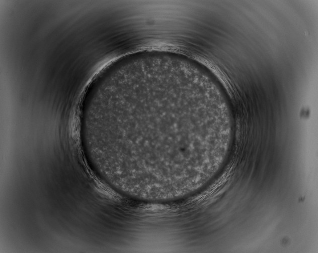 X0000103321115200810171355