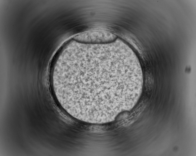 X0000103321116200810171355